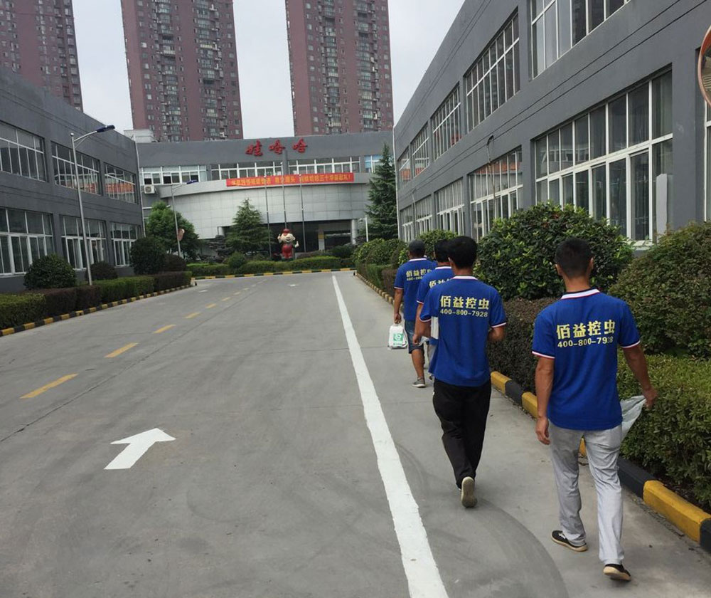 F88·(中国区)官方网站